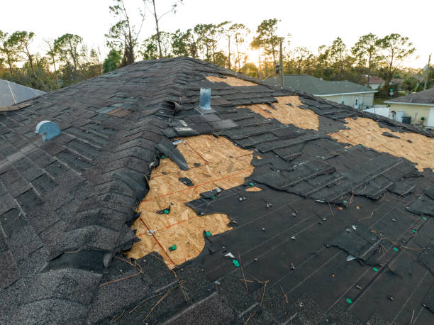 Best Commercial Roofing Services  in Bear Creek, AL