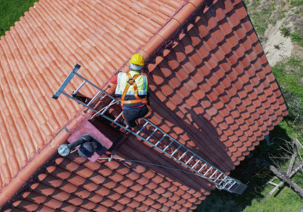 Trusted Bear Creek, AL Roofing Services Experts